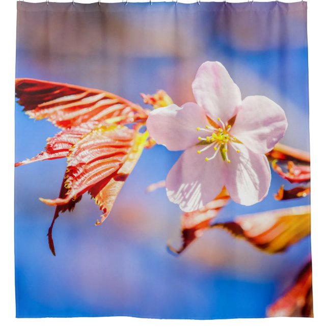 Rideaux De Douche Rouge Sakura bleu ciel (Devant)