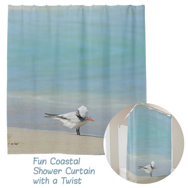 Rideaux De Douche Royal Tern on Beach Photographic Coastal (Créateur téléchargé)