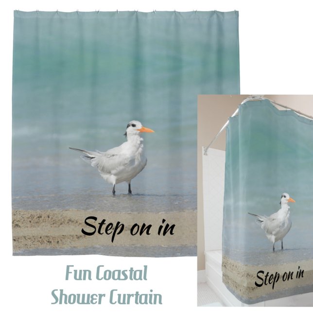 Rideaux De Douche Royal Tern Seabird Beach Photographie (Créateur téléchargé)