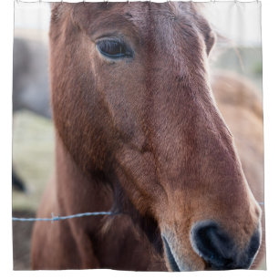 RIDEAUX DE DOUCHE SAD HORSE