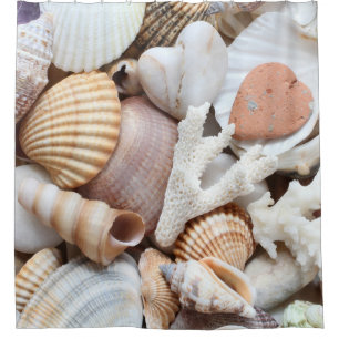 Rideaux De Douche Sea Shells Stones Coral Arrière - plan