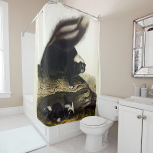 Rideaux De Douche Skunk américaine commune ou Striped Skunk, par Aud
