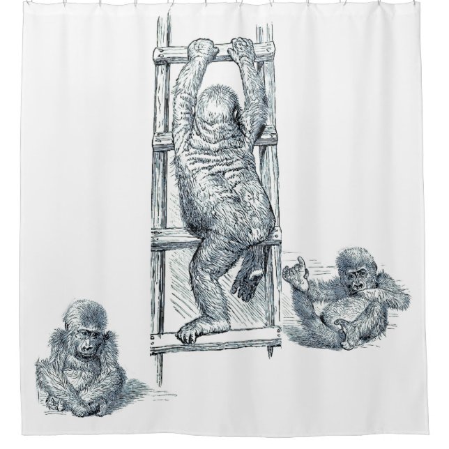 Rideaux De Douche Stylo / Encre Art Jeune Gorille Enfants Douche Rid (Devant)