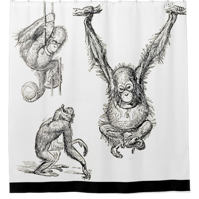 Rideaux De Douche Stylo/encre Art Zoo Orangutan Enfants Douche ridea (Devant)