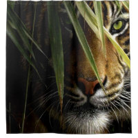 Tigre