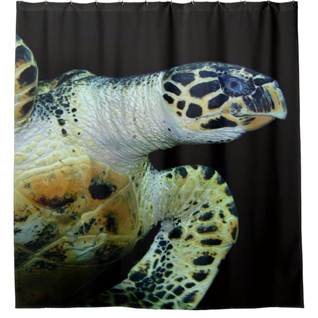 Rideaux De Douche Tortue de mer (Devant)