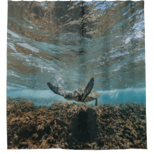 RIDEAUX DE DOUCHE TURTLE EN DÉPLACEMENT
