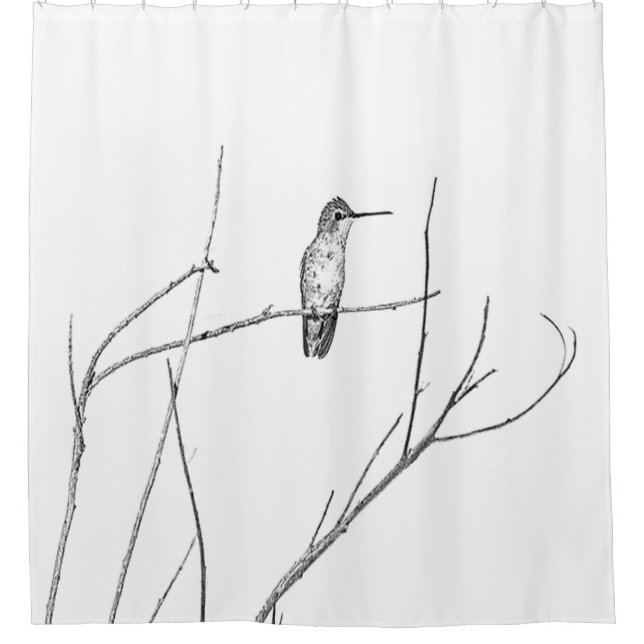 Rideaux De Douche Un colibri sur un bâton (Devant)