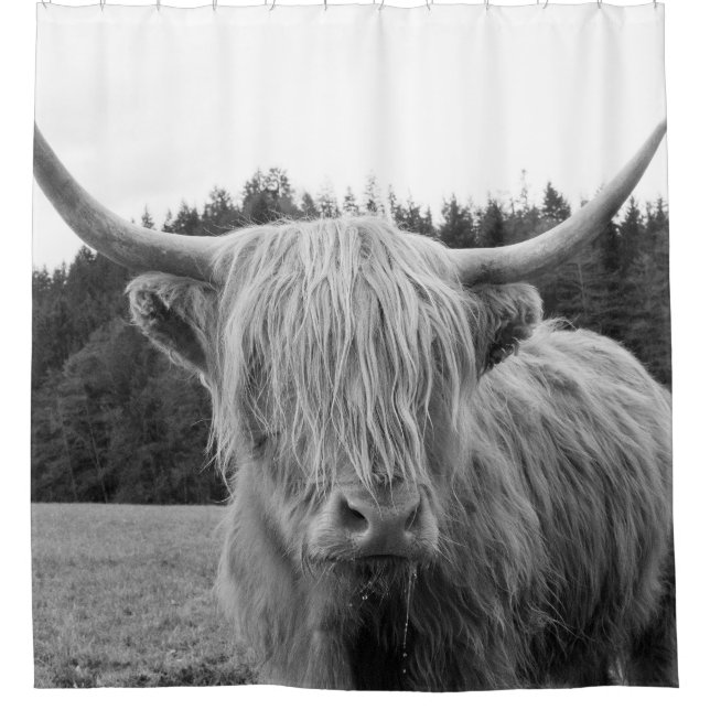 Rideaux De Douche Vache Highland #6 #mur #art (Devant)