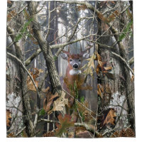 Whitetail dans les bois