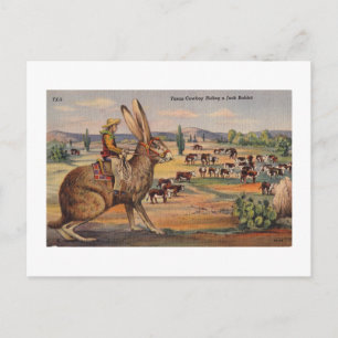 Ride'm Bunny! Postcard