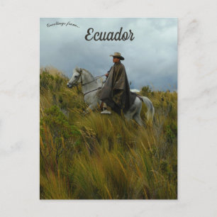 Rider and Horse in Cotopaxi Ecuador Postcard
