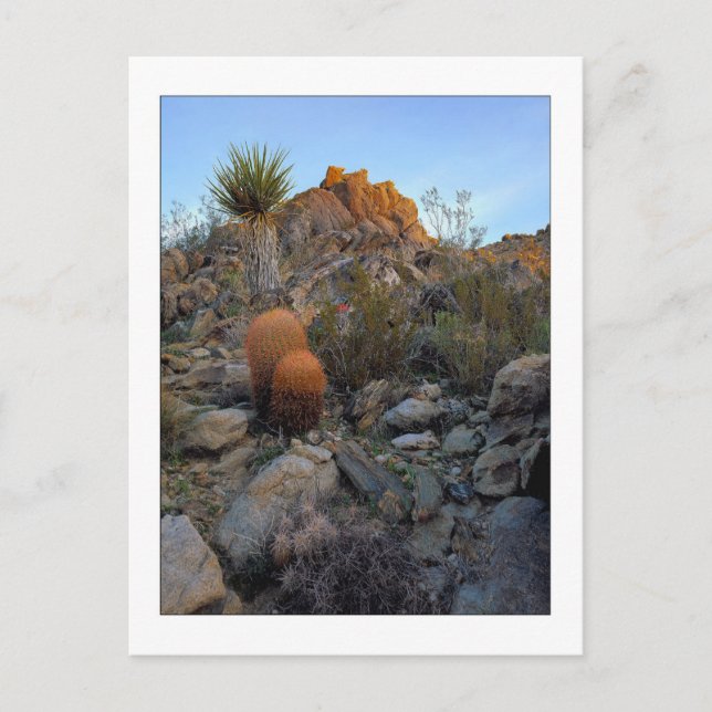 "Ridge Route Colours" Postcard (Front)