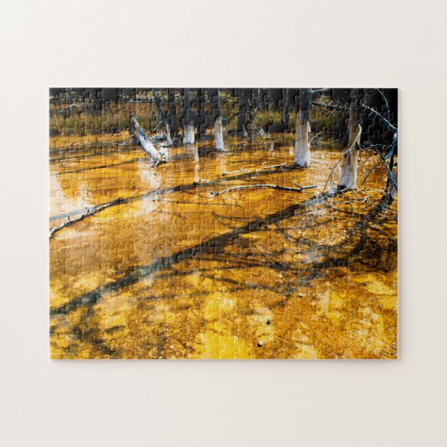 Ridgepole Pines growing in Yellowstone Jigsaw Puzzle (Horizontal)