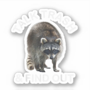 Ridiculous Raccoon & Raccoon Clothes Talk Trash an