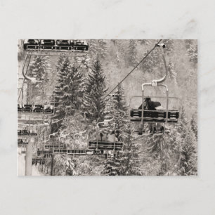 Riding above the trees postcard