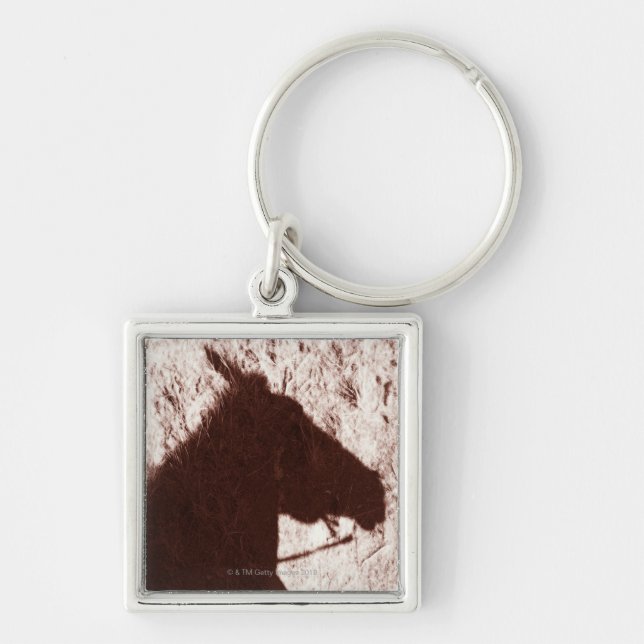 riding horse's head shadow on trail floor Jasper Keychain (Front)