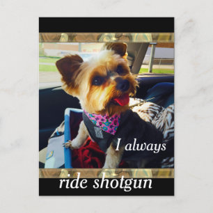 Riding Shotgun Yorkie Personalize Postcard