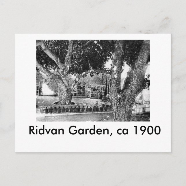 Ridvan Garden - ca. 1900 Postcard (Front)