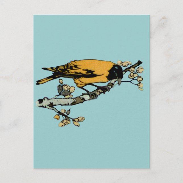 Rielaboration of Yellow Vintage Bird Illustration Postcard (Front)