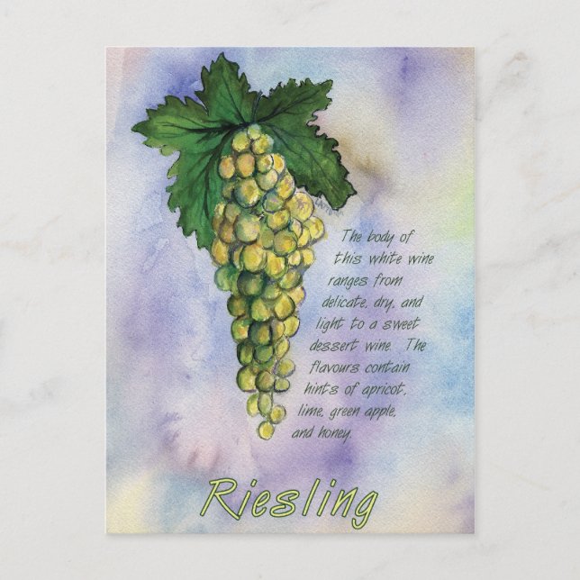 Riesling Wine Grapes Postcard (Front)