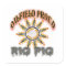Rig Pig2