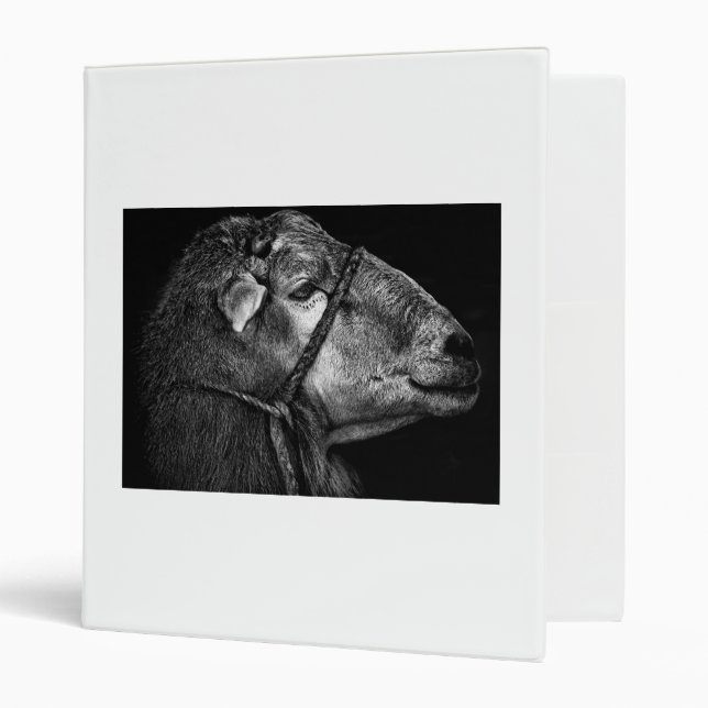 right following binder (Front/Inside)