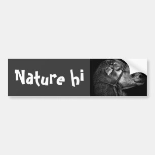 right following bumper sticker