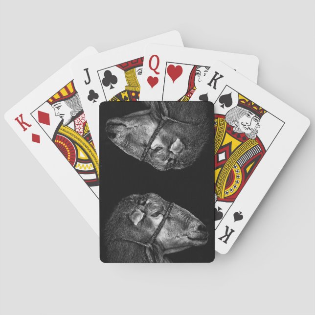 right following playing cards (Back)