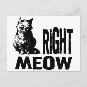 Right MEOW! Funny Evil Kitty Postcard