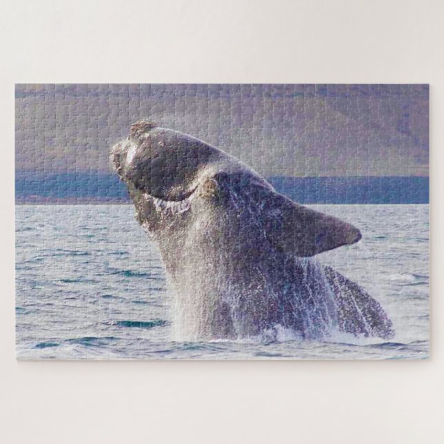 Right Whale Jigsaw Puzzle (Horizontal)