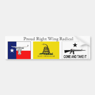 Right Wing Radical Bumper Sticker