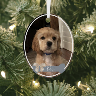 Riley Custom Pet Photo Ornement de Noël