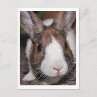 Riley Postcard