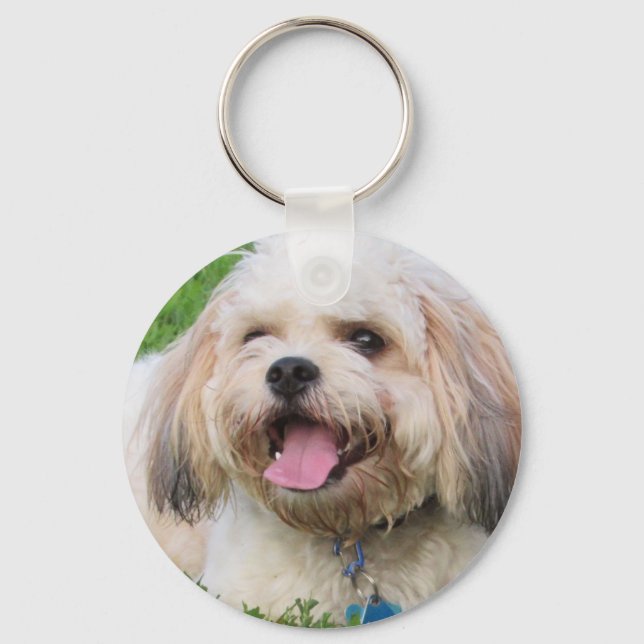 Riley the Cavachon Keychain (Front)