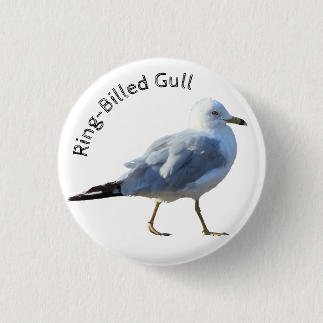 Ring-Billed Gull 1 Inch Round Button (Front)