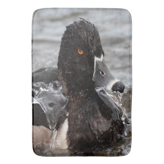 Ring-Neck duck splashing Bath Mat (Front Vertical)