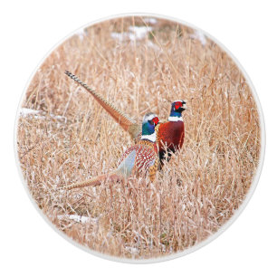Ring-neck Pheasant Custom Ceramic Knob