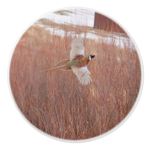 Ring-neck Pheasant Custom Ceramic Knob