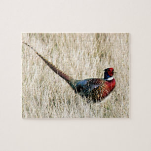 Ring Neck Pheasant in Meadow Jigsaw Puzzle