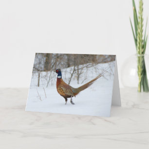 Ring-Neck Pheasant in Snow Holiday Greeting Card