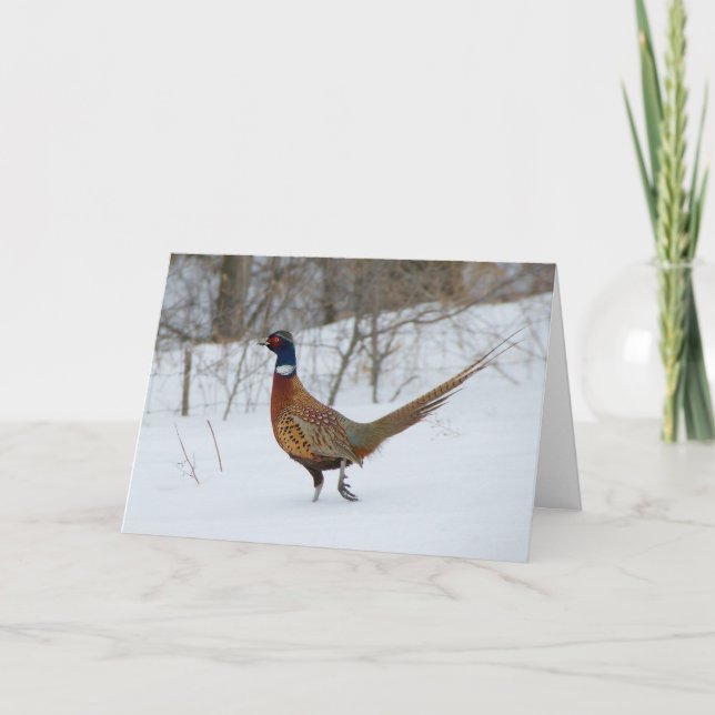 Ring-Neck Pheasant in Snow Holiday Greeting Card (Front)