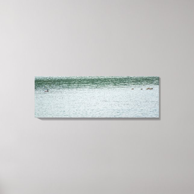 Ring-necked Duck Canvas Print (Front)