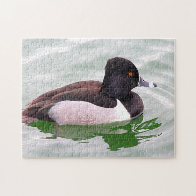 Ring Necked Duck Jigsaw Puzzle (Horizontal)