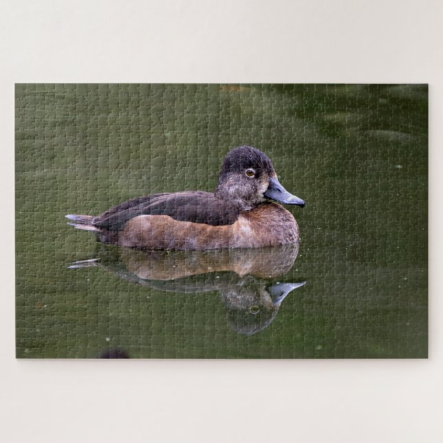 Ring-Necked Duck Jigsaw Puzzle (Horizontal)