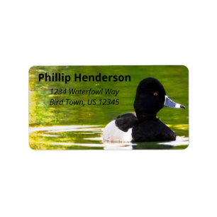 Ring-Necked Ducks Black & White Birds Green Water Label