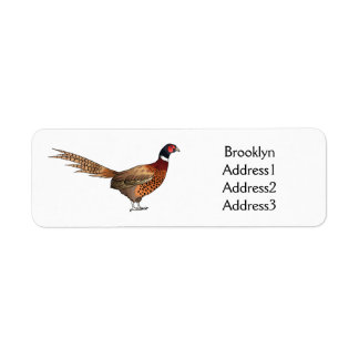 Ring-necked pheasant bird cartoon illustration 
