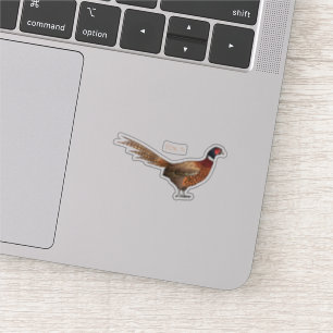 Ring-necked pheasant bird cartoon illustration 