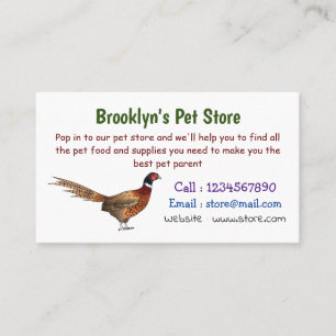Ring-necked pheasant bird cartoon illustration  business card
