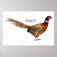 Ring-necked pheasant bird cartoon illustration 